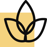 100-year preserved heritage