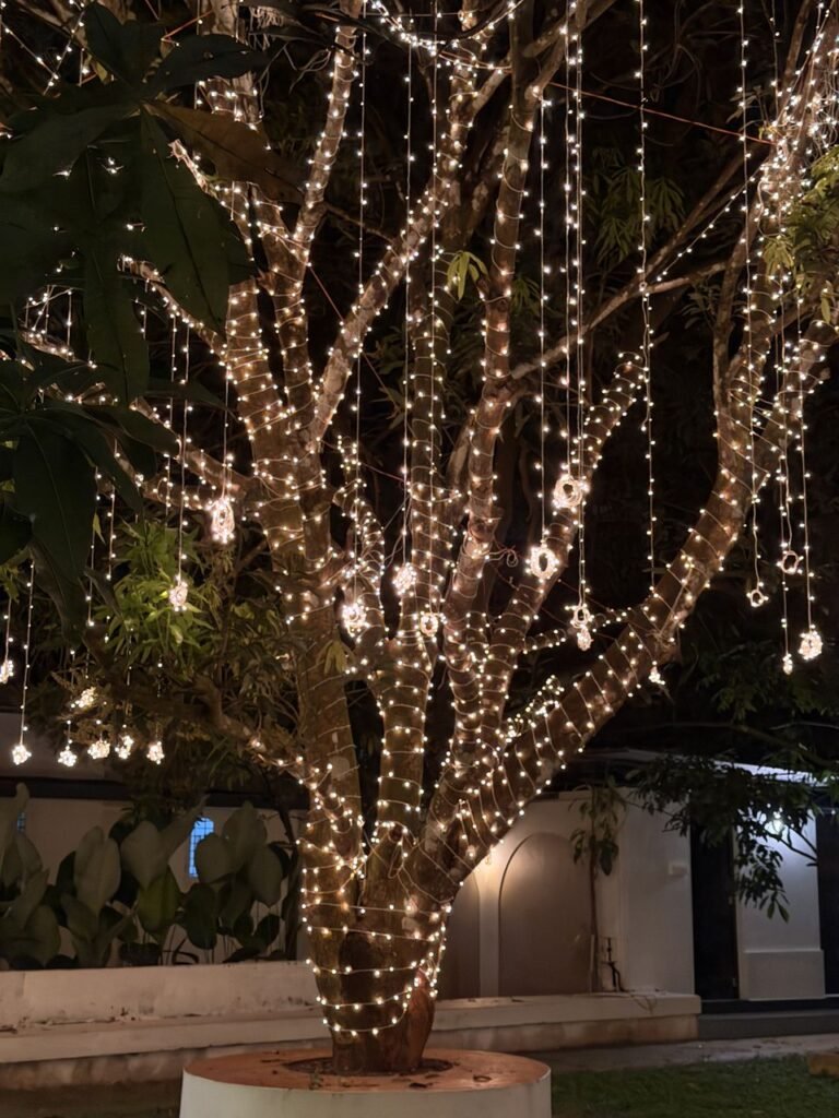 Whispers of Nature & Time